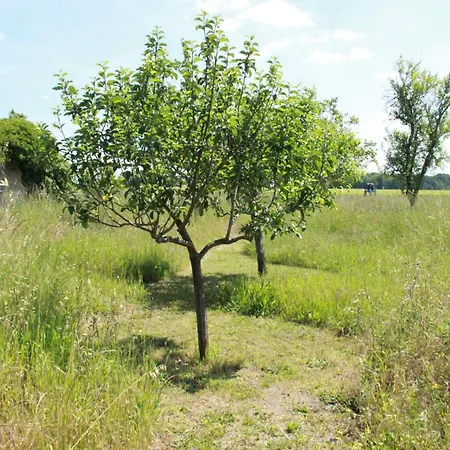 Le Figuier Apartamento *