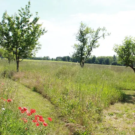 Le Figuier Saint-Sauveur (Gironde)