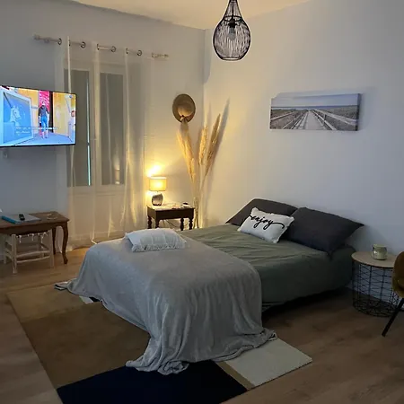 Le Figuier Lägenhet Saint-Sauveur (Gironde)