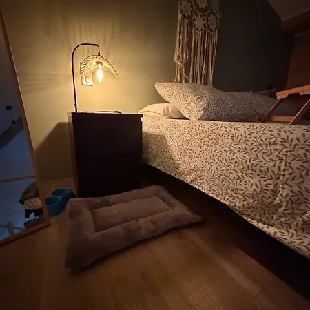 Le Figuier Appartement
