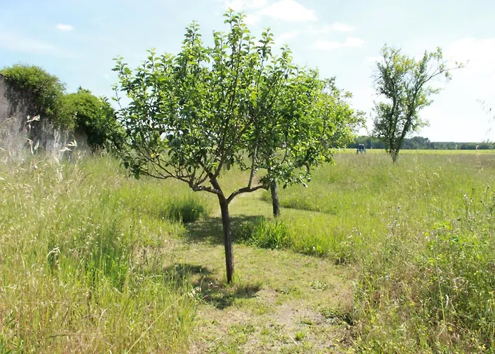 Le Figuier Apartamento *