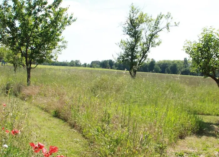 Le Figuier Saint-Sauveur (Gironde)